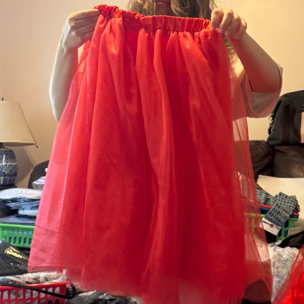 Tulle skirt, excellent condition.  Ladies medium-ish